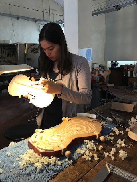 Kunst og musikrejse til Mantova og Cremona