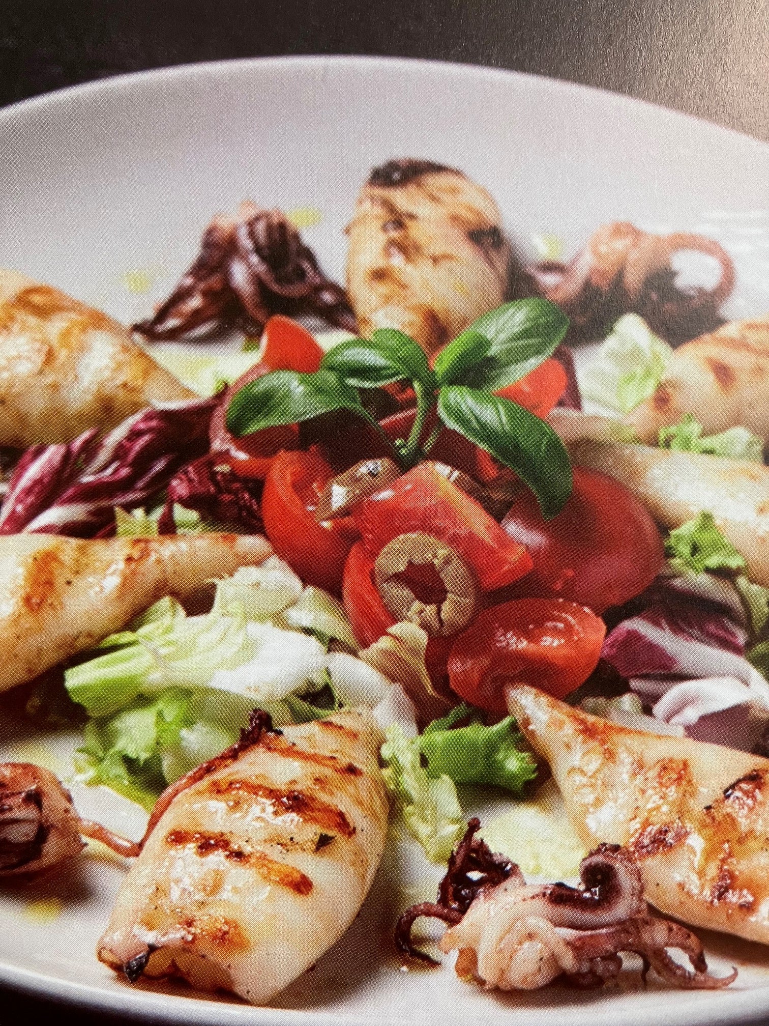 OPSKRIFT PÅ BLÆKSPRUTTESALAT