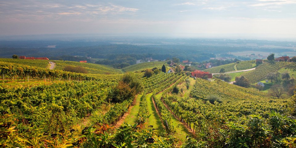 Vinrejse til Italien