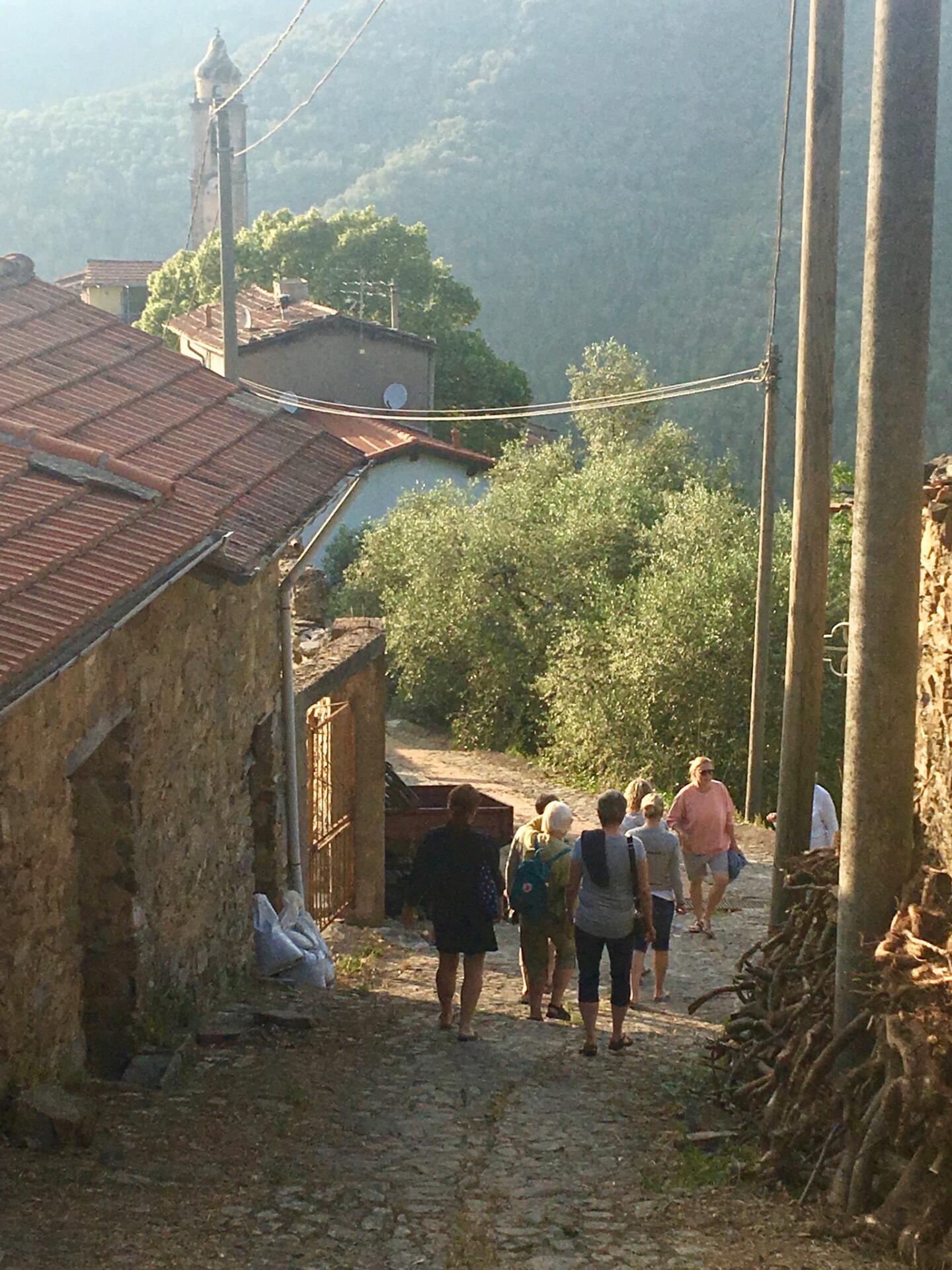 vandreferie for begyndere