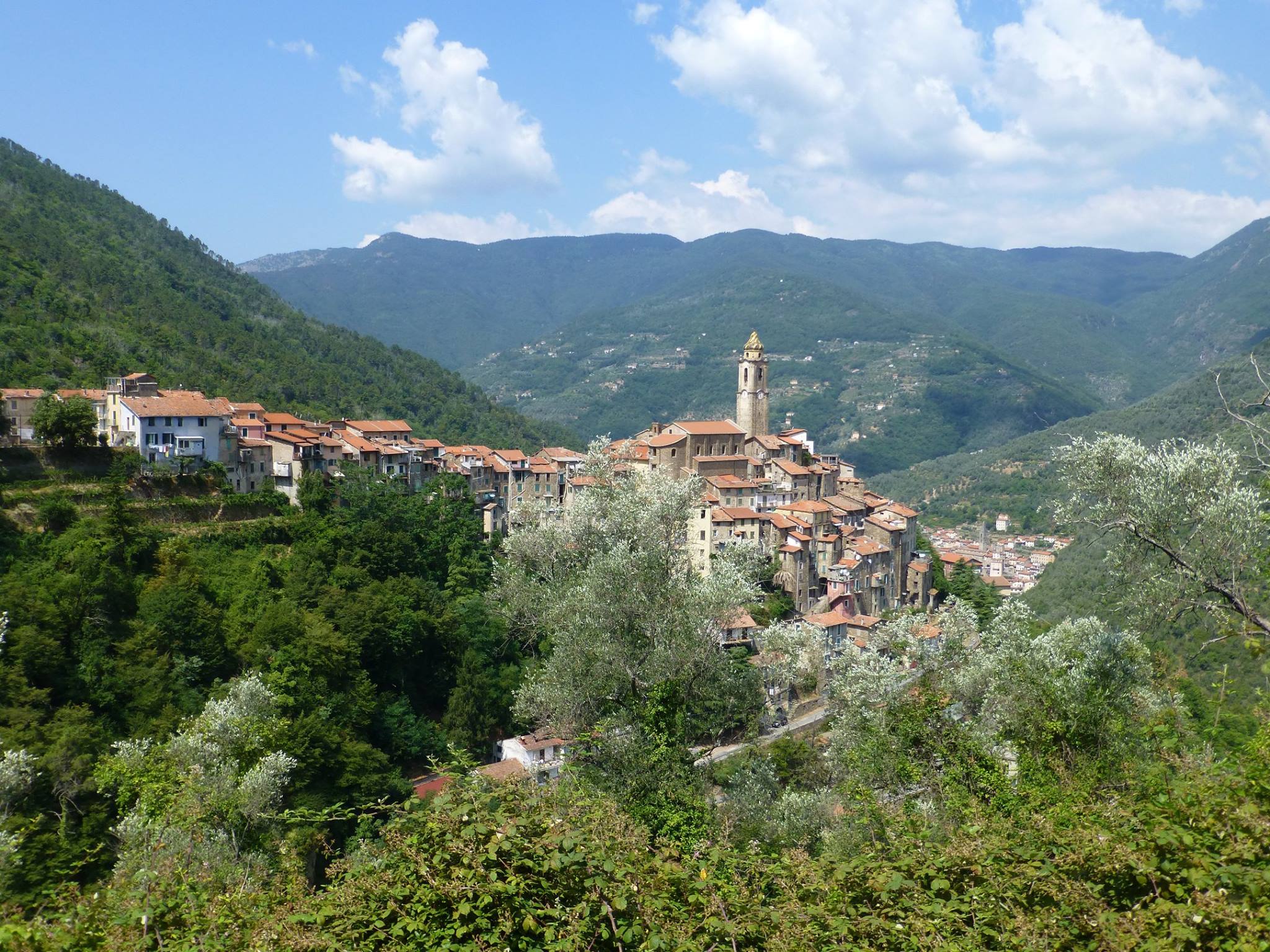 vandreferie