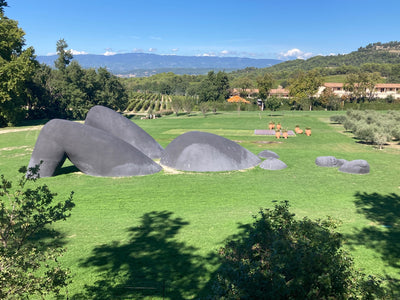Chateau la Coste skulpturpark