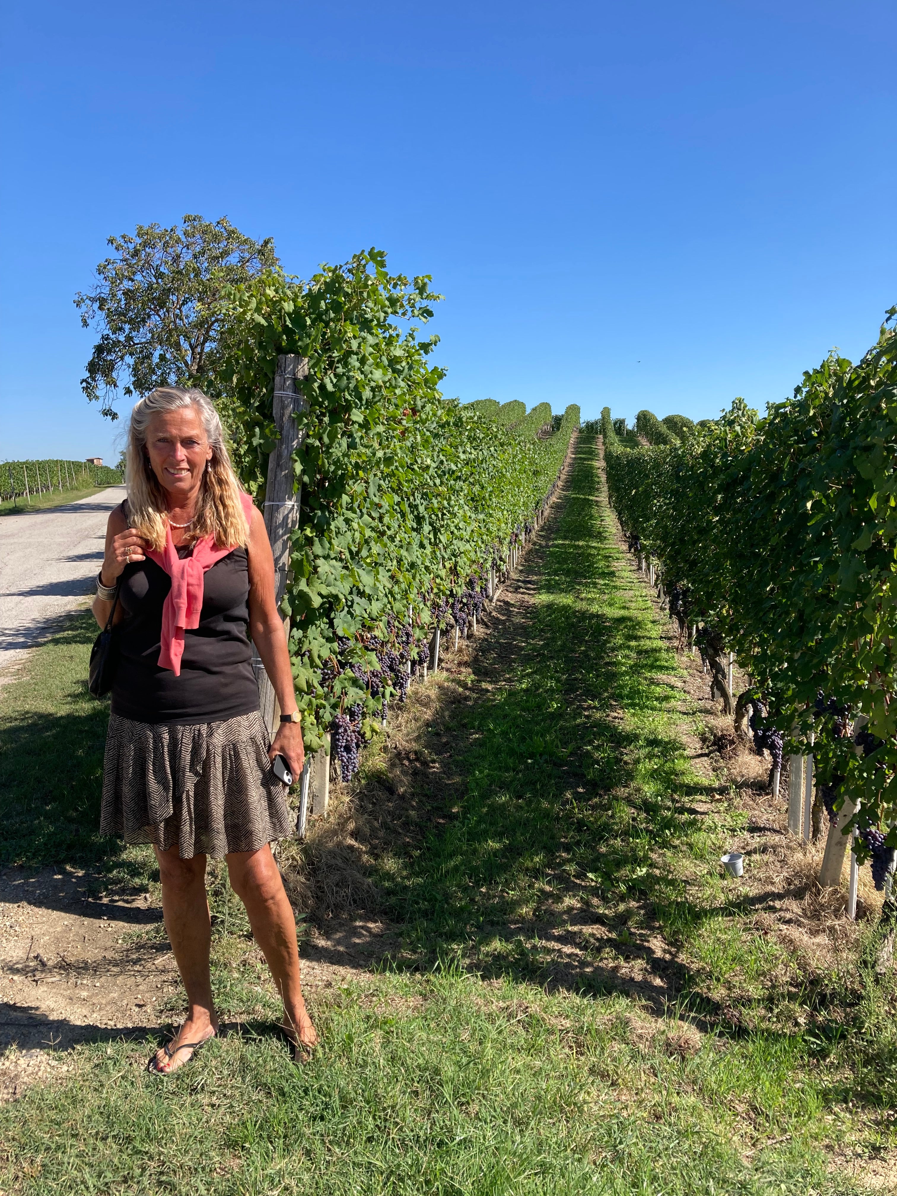 Helle Brønnum ved en Barolo vinmark