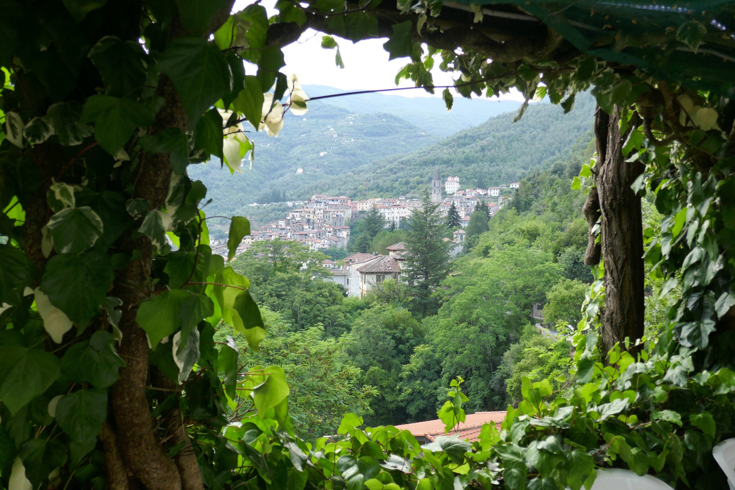Udsigt over Pigna