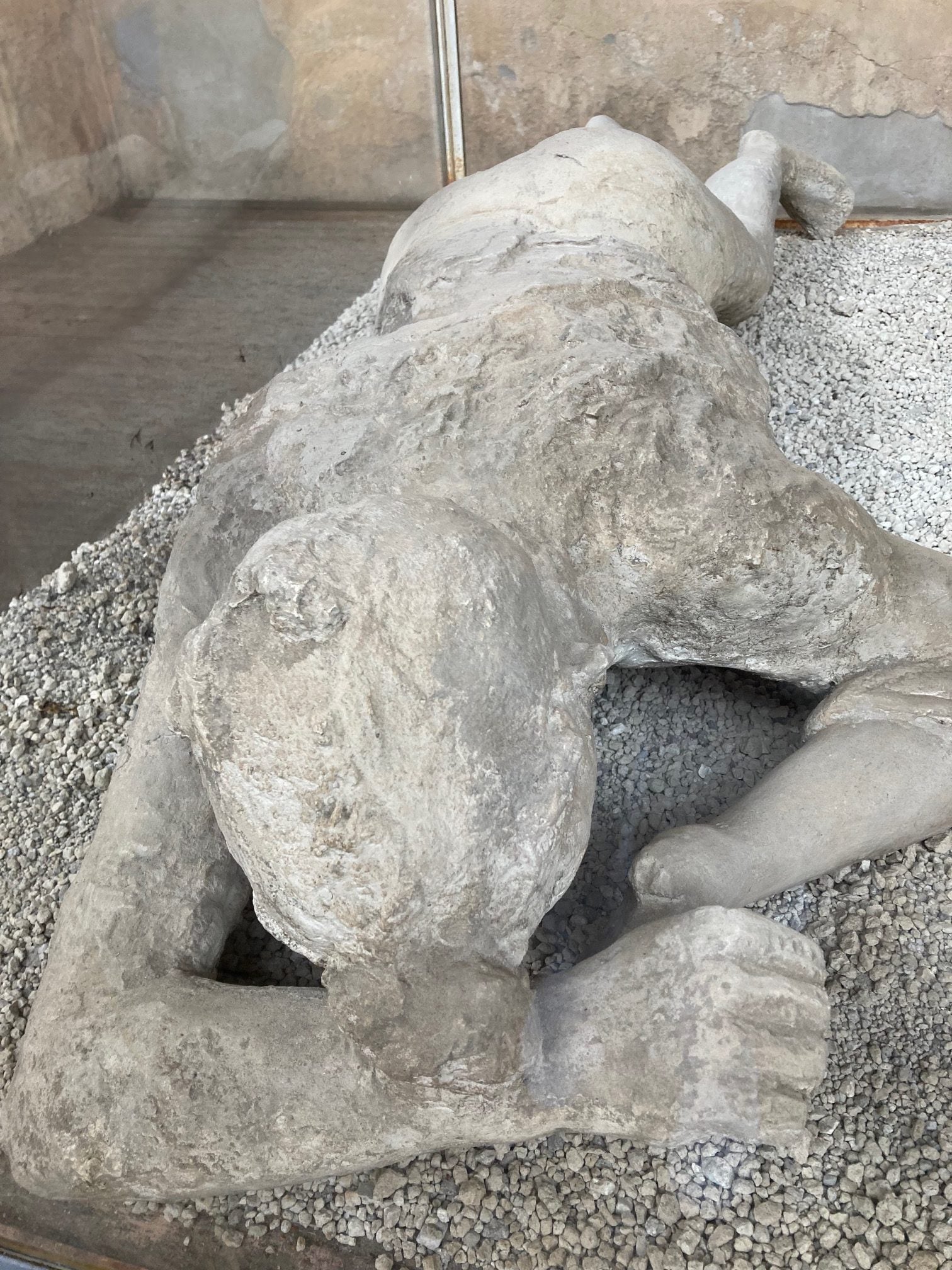 bevaret figur fra Pompejis ruiner