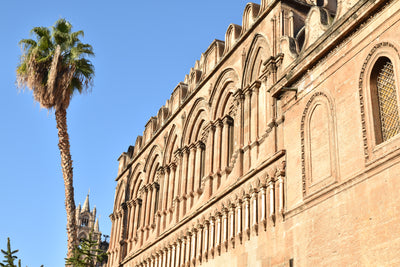 Historiske bygninger og palmer i Palermo