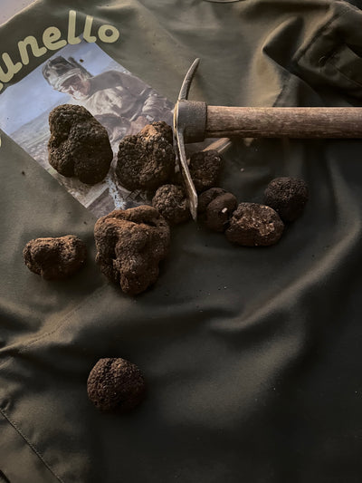 Trøfler fra Piemonte – madrejse