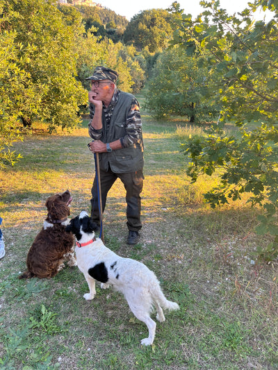Trøffeljagt i Piemonte